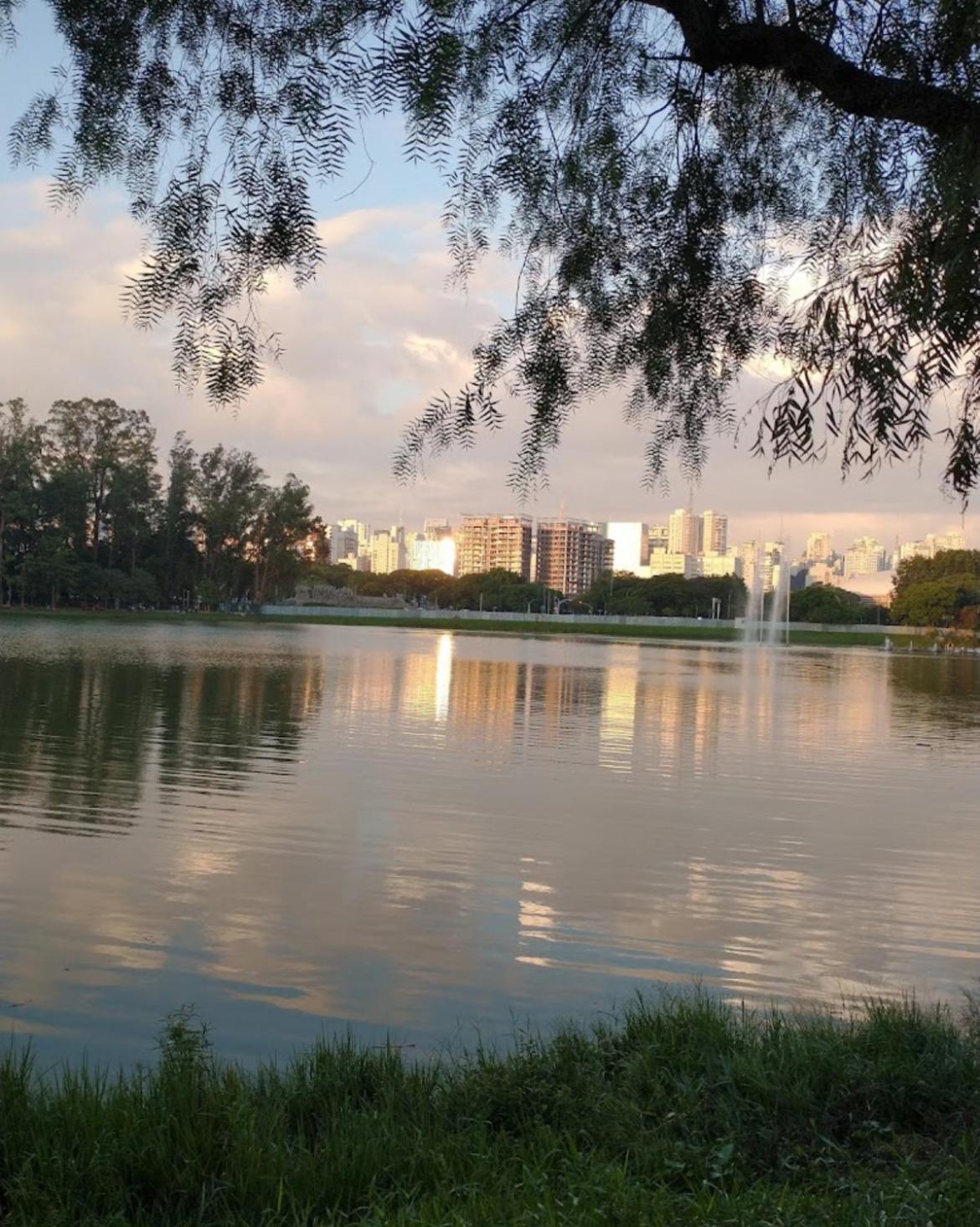 Novissimo Duplex Moema Ibirapuera São Paulo